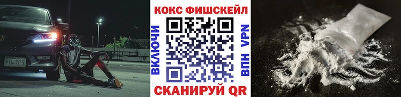 сколько стоит  Куса  Cocaine 99% 