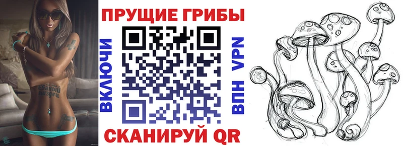 Галлюциногенные грибы GOLDEN TEACHER Куса